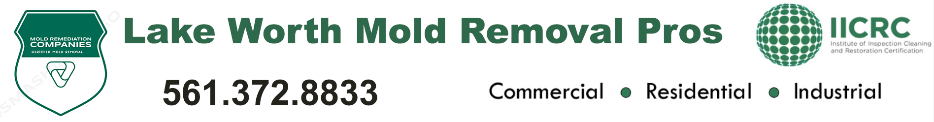 Lake Worth Mold Removal Pros