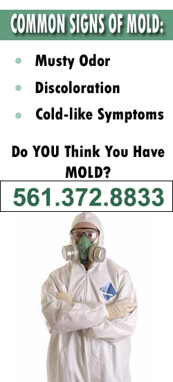 Lake Worth Mold Remediation Contractor
